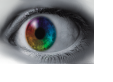 Schriftdesign Druckerei Auge Logo